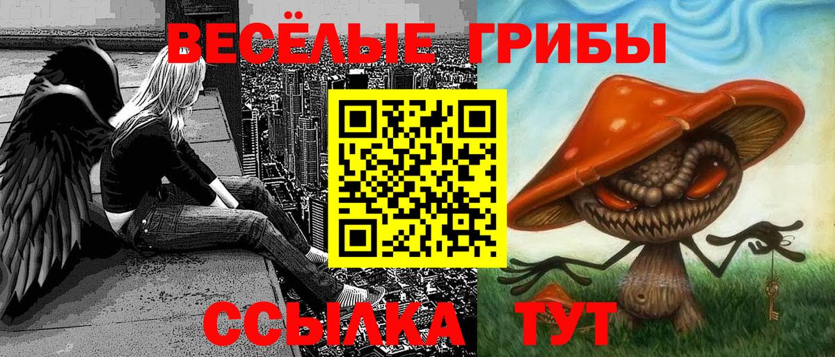 Псилоцибиновые грибы мухоморы  Вход с VPN  Котлас  Псилоцибиновые грибы Magic Shrooms 
